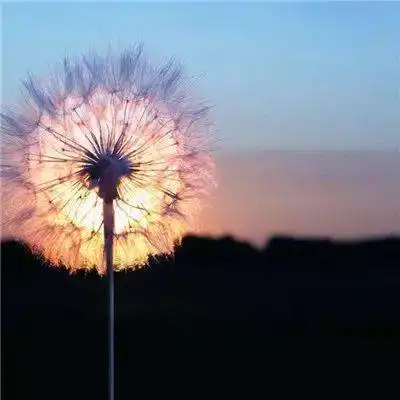 中老年头像大全成熟男人微信头像风景大全
