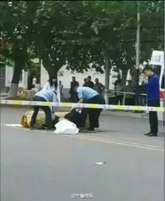 两少年凌晨当街打死流浪老人伪造车祸现场