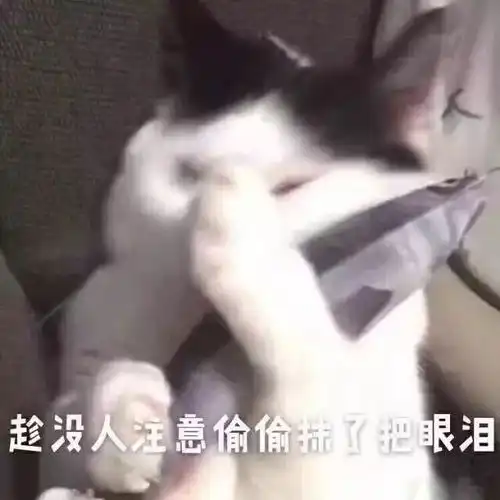 又要回冬长沙气温一夜暴跌12最低温降至4,老天爷不要太鲁莽啊