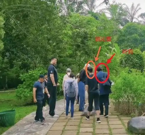姚明带一家五口现身云南植物园,可谓是家庭集体出游,比较少见