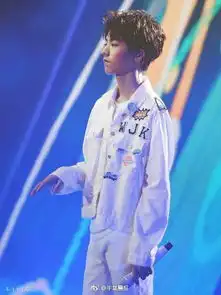 求王俊凯四周年演唱会每套服装高清壁纸