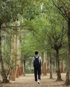 拍照别再呆呆站着傻笑了,全身照拍摄姿势get起来
