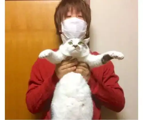 这些网红沙雕手办背后的男人,竟如此可爱