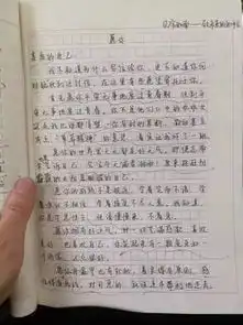 北京四中初二女孩作文火了愿你走出半生,归来仍是少年