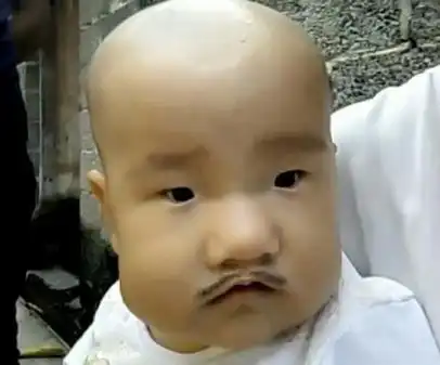搞笑gif图是什么样的毅力让你们住下来的