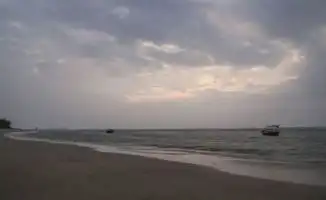 男子海边发现一艘渔船,密密麻麻全是不明生物,细看一番脸色大变