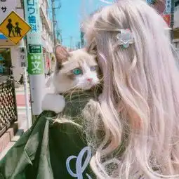 小仙女与小动物的亲密合照头像美女抱可爱猫咪微信头像高清
