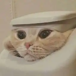 杨哒哒哒哒的微博微博
