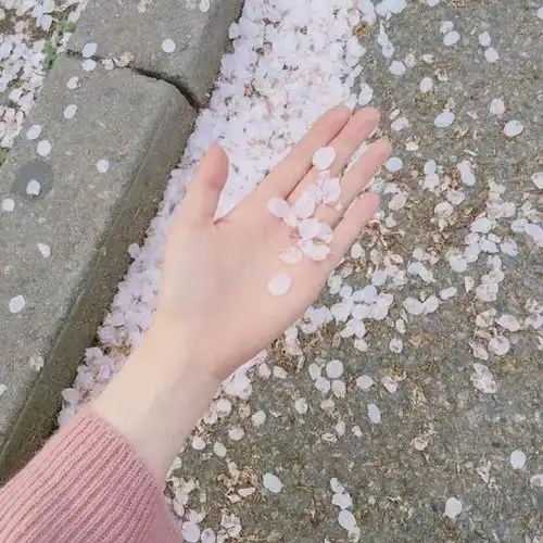 文案最怕那种仪式感照常,而爱意却如潮水般消退