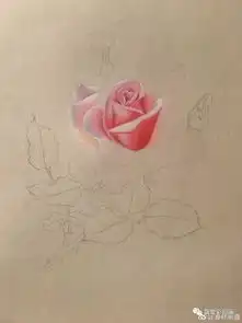 真美复古的味道彩铅手绘花卉过程