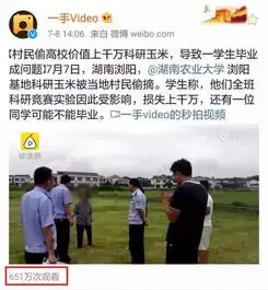 科研玉米被偷摘有学生毕不了业气炸违法零成本怎么解决