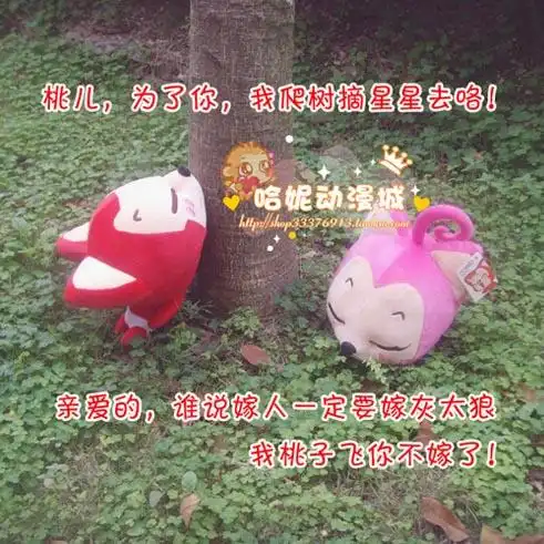 阿狸和桃子可爱的图片