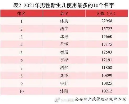 上海宝山双胞胎取名上下左右更巧的是,爸妈叫做...
