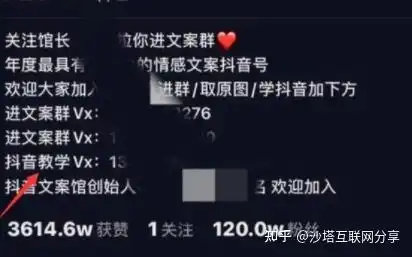 抖音文案馆项目浅析,3月赚10w可批量起号