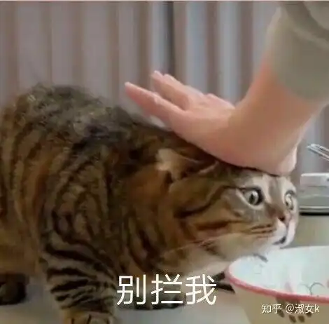 男生如何看待腿毛多的女生