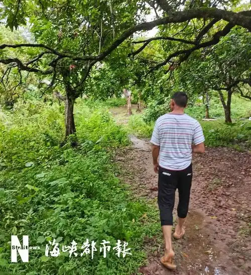 与母亲闹矛盾,莆田15岁男孩离家出走,5天后遗体在湖泊中被发现