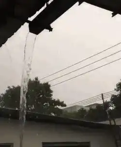 霸气十足的妹子揪住大哥的衣服,瞬间傻眼了