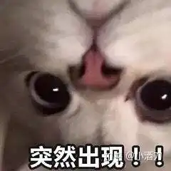为什么一个男生总是爱发小猫的表情包
