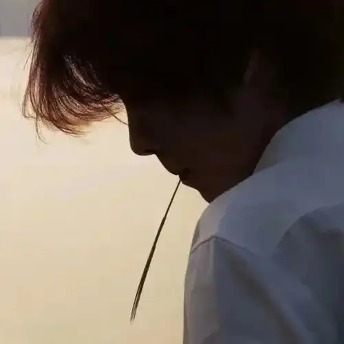 真人男生头像三千繁华,弹指刹那,百年过后,不过一捧黄沙