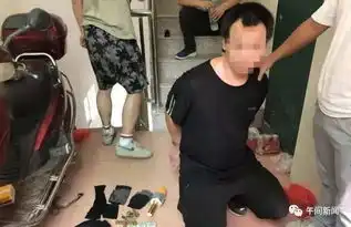 一男子在河南岸盗窃,戴的面具有点吓人
