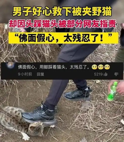 男子脚踩猫头被指责残忍,男子怒怼我愿意干这种残忍的事情