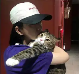 越是情商低的女生,就越喜欢和男生说这3句话,难怪异性缘那么差