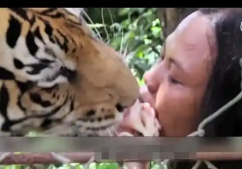 这位印度男子爱上一头母老虎,结婚后还秀恩爱,生活场景看傻旁人