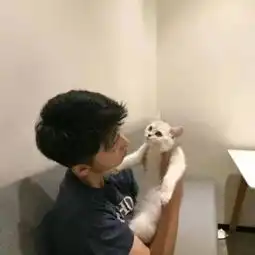 陈皮皮照片陈皮皮相册大全yy官方

