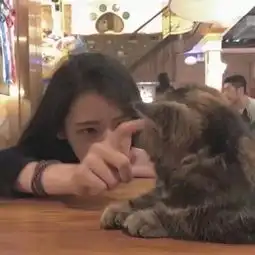 姑娘,变成你想要的样子