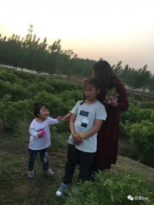 照片讲述2017老百姓自己的故事