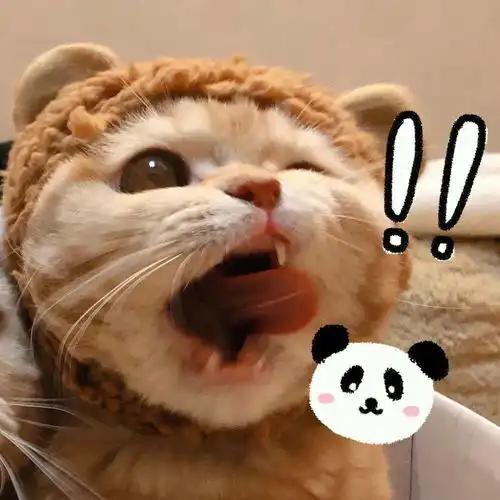 cp头像吃货必备搞笑美食文案
