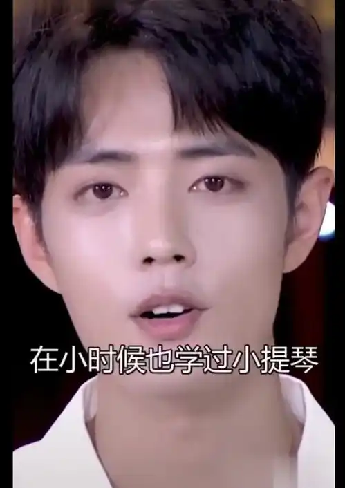 华语顶流男星资料肖战学前篇,请广大网友查收