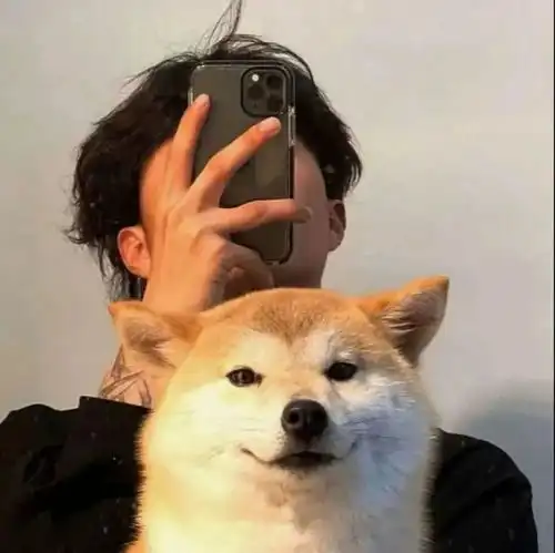 精美头像非常nice
