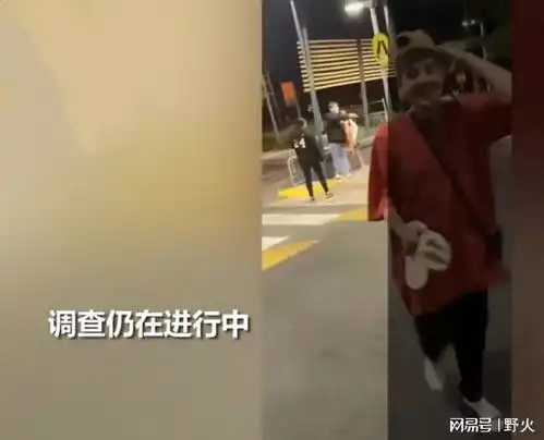 澳洲一群少年围殴3名亚裔,网友外国人还打自己人