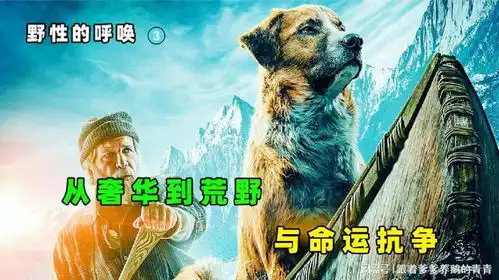 从温室到荒野的蜕变之路,挣脱束缚,追寻自由的呼唤34