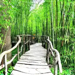 沂南竹泉村景区民宿13晚次日早餐双人竹泉村门票