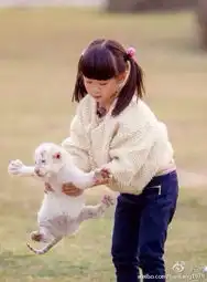 田亮晒女儿森碟抱肥猫照神情认真露甜美微笑
