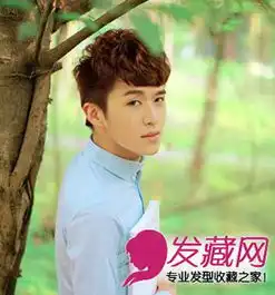 男生短发烫发发型图片气质男生短发烫发8
