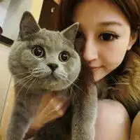 一个黑色衣服男生旁边站了个白色红脸的猫求助情侣头像求速度解答