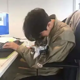 软萌软萌的可爱男生头像爆汁可爱
