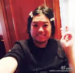 奇葩说插画高晓松马东蔡康永