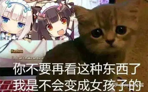 让我看看谁还没有猫快在游戏里养只宠物啊