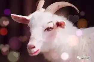 搞笑图文据统计100的男人看了这张图片都没有看到亮点