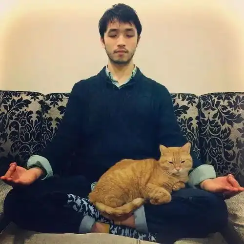 刘亦菲的花木兰男主确定,竟然是他这门亲事网友不答应