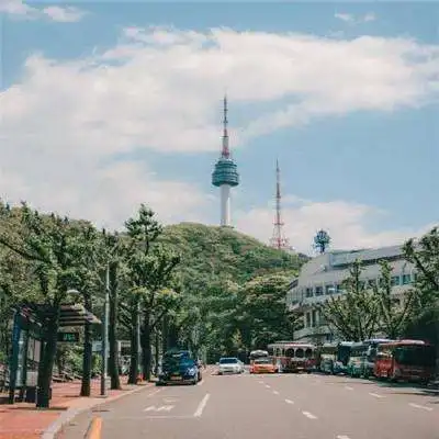 ob中欧
