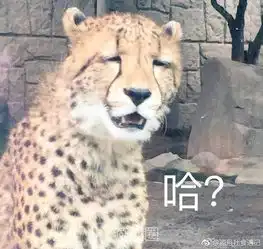 燕郊圈