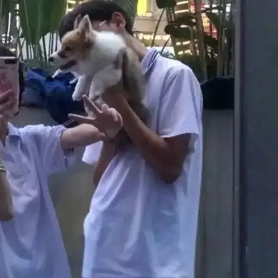 男生准备追你的表现