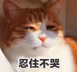 原来现在找男朋友的标准是小奶狗
