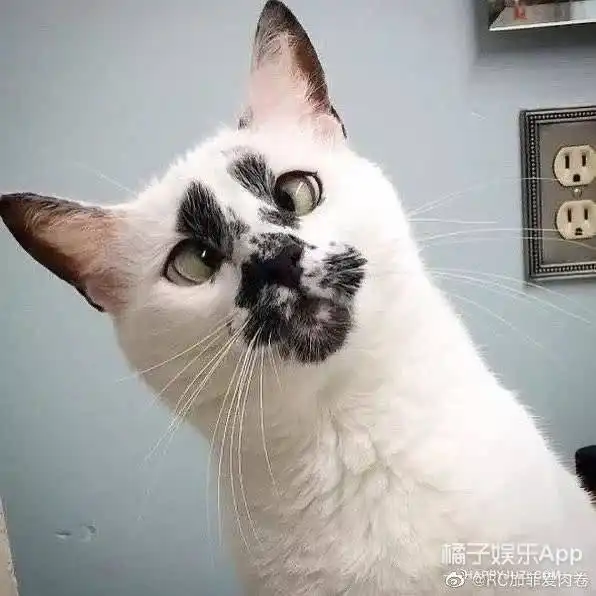 好像,确实过于潦草了