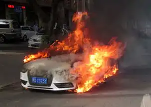 国内热图中国日报网